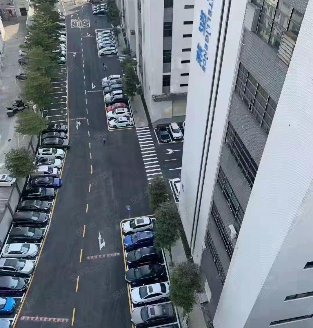 出租公明松柏路旁，1580，3280平，园区形象好，交通方便