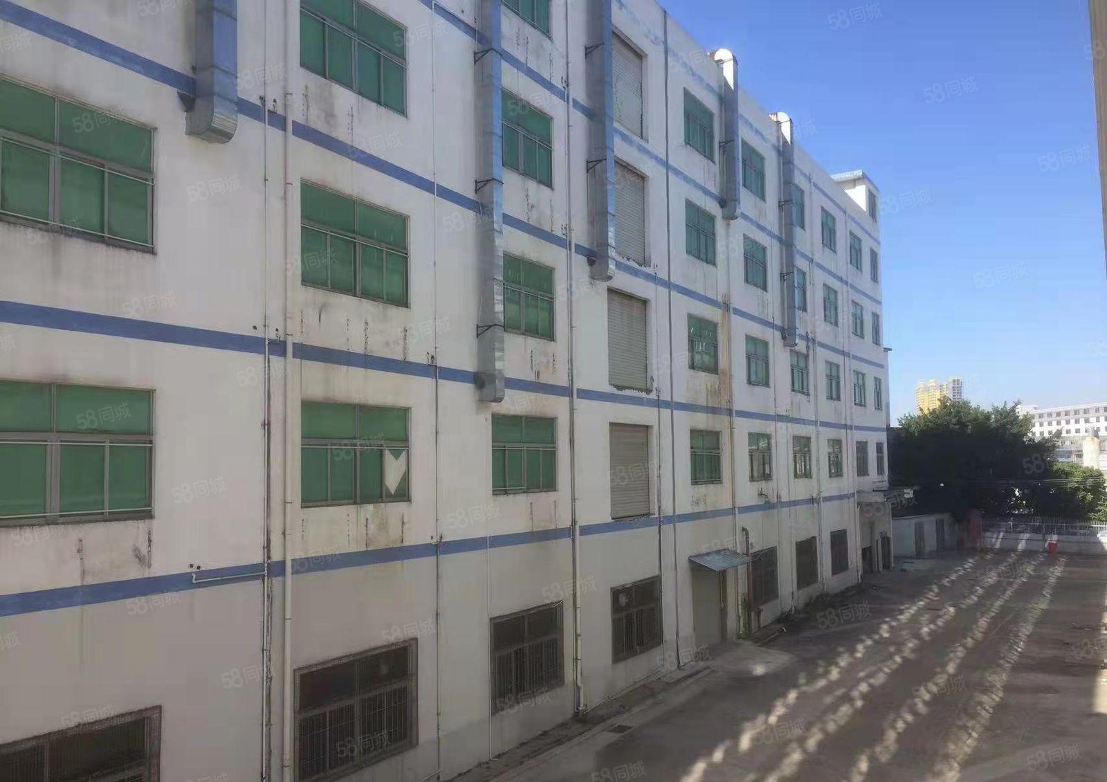 公明楼村500~10000平厂房，仓库出租，食宿配套齐全