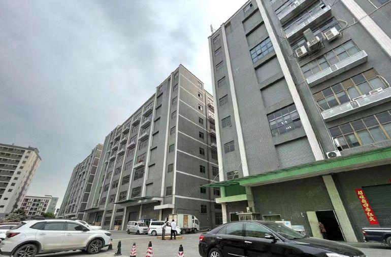 （公明楼村原房东厂房）1.56万平单层2600，分1300平