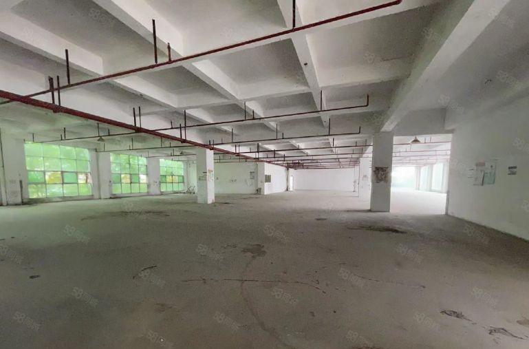 光明汇业科技园仓库厂房低价出租5000平500平起租仓库出租