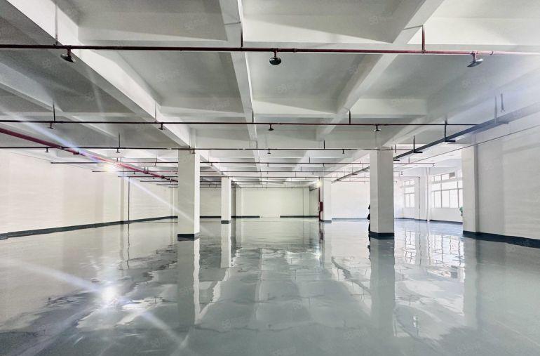 光明楼村地铁口原房东一楼楼上300平起租精装办公仓库厂房出租