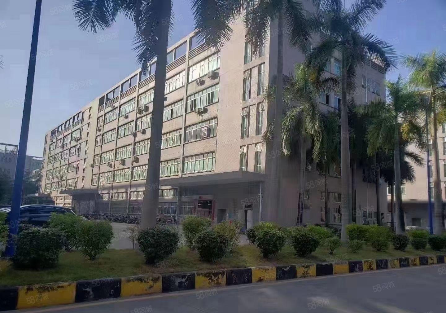 公明顺发工业园厂房出租6000平，600平起分（原房东直租）