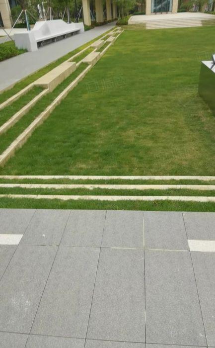 光明小面积厂房出租300，1000，1500平带装修无尘车间