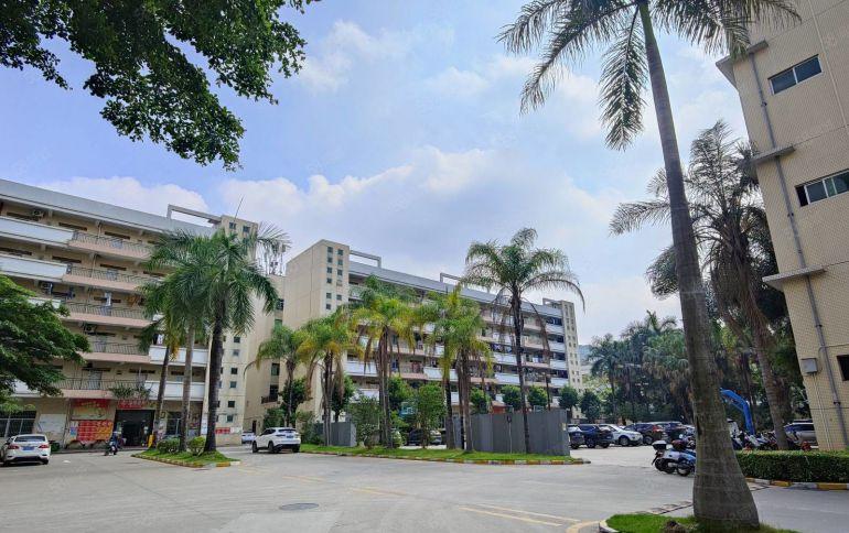 公明新出原房东花园式厂房2000平。随时看房