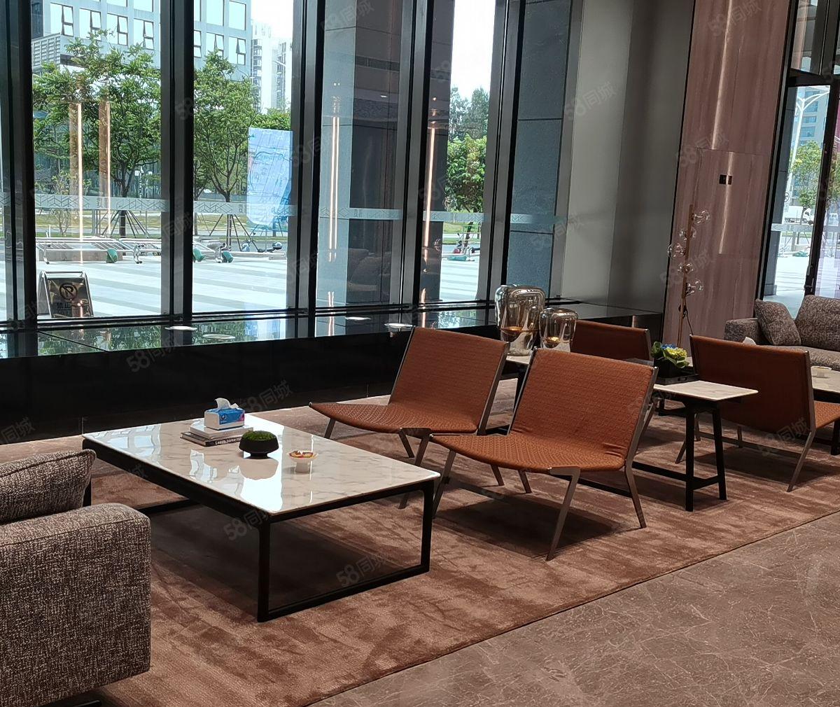 全年租金减半，光明高新红本厂房出租，政府项目补贴20元一平