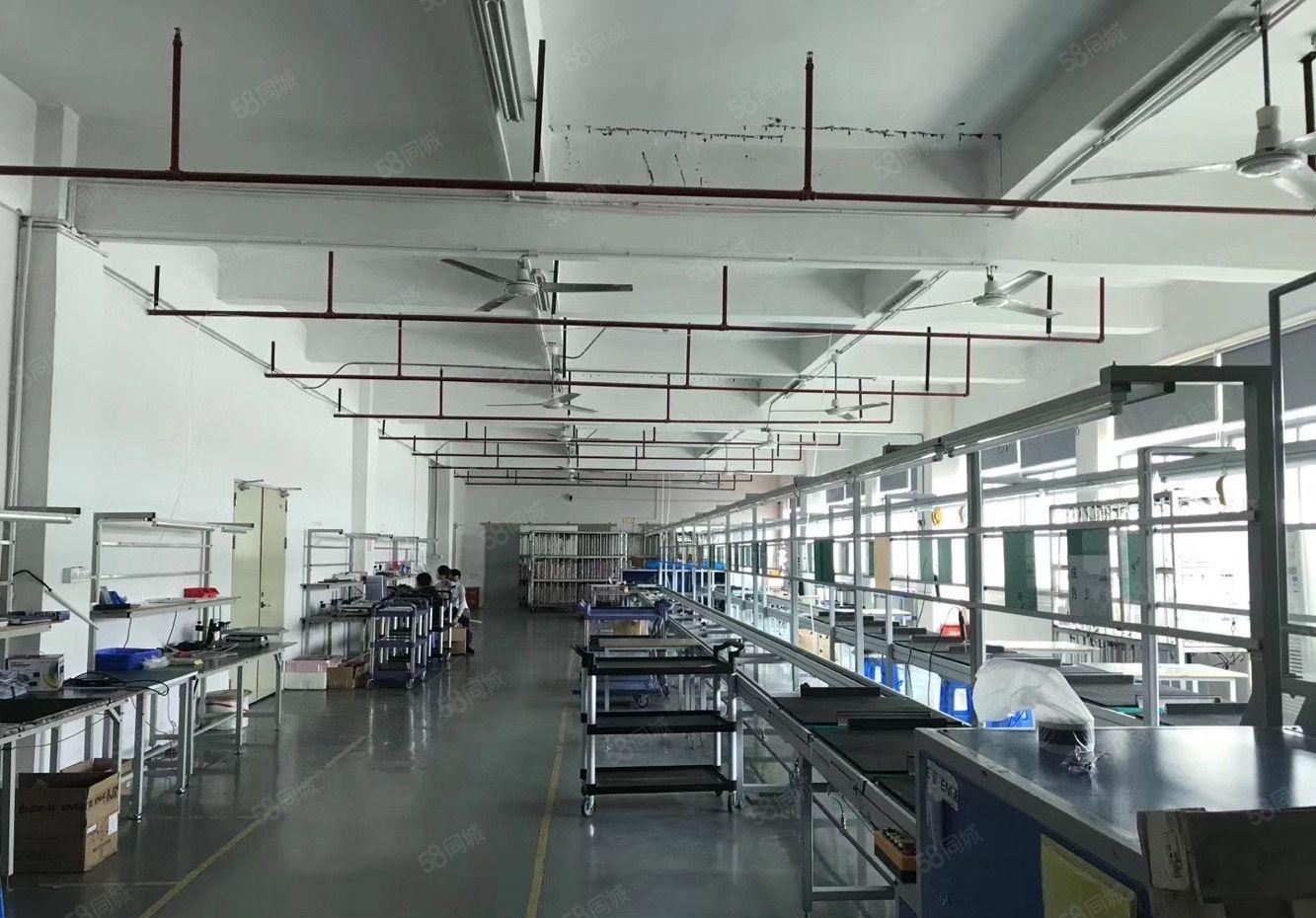 公明汽车站新出原房东独门独院5000平方厂房招租