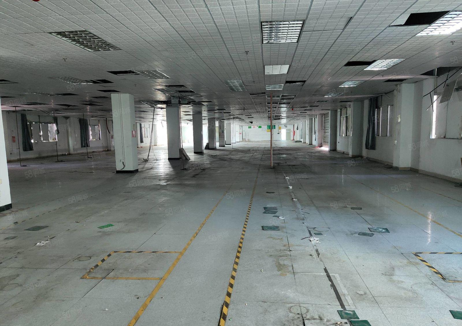 大小可分，光明龙大高速口原房东独院厂房10000平出租！