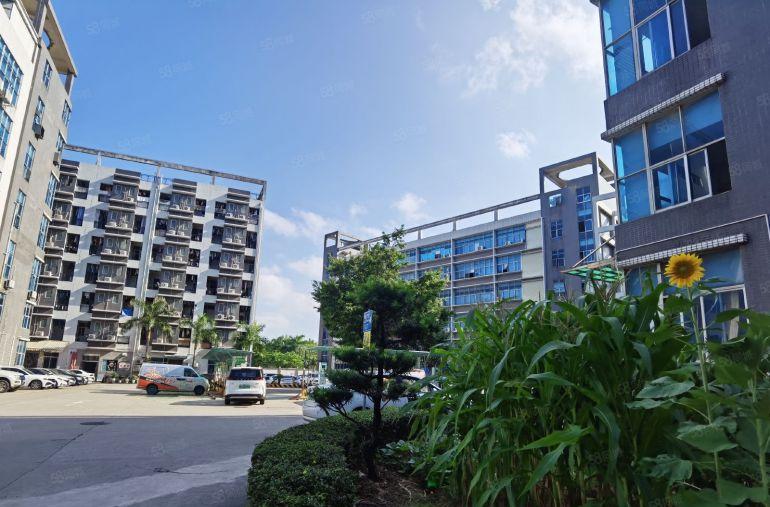 光明田寮高新区原房东红本厂房出租2000平米带精装修可分租