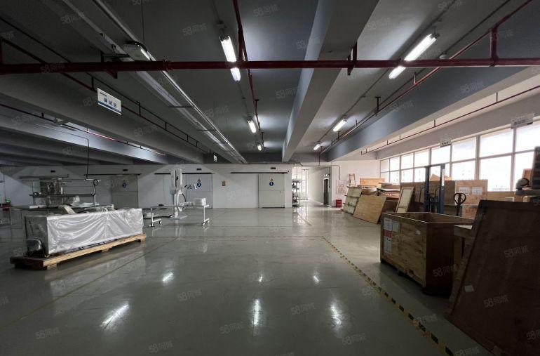 光明原房东6800平红本独院厂房一楼上300起租空地大好招工