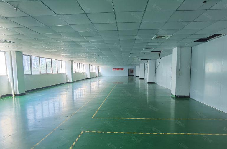 光明田寮高新区原房东红本厂房出租2000平米带精装修可分租