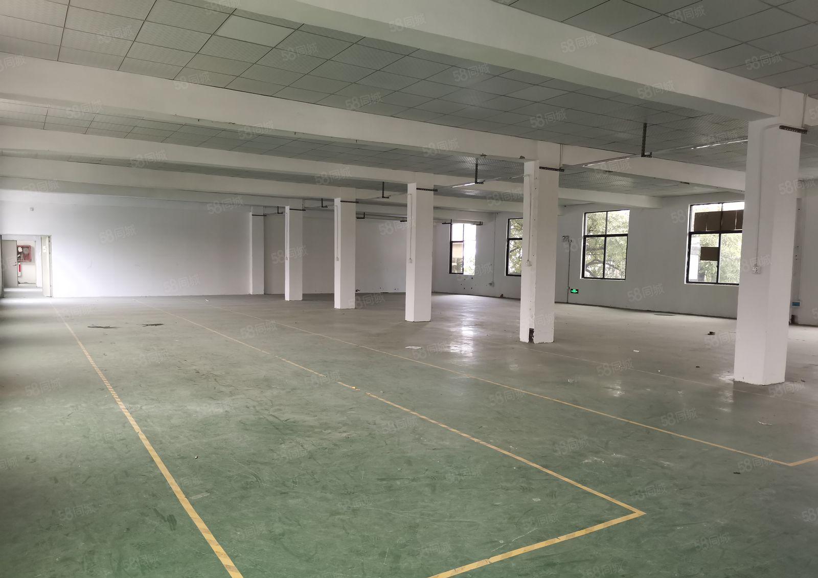 光明李松蓢多套原房东独院厂房1~4层6000平方出租！