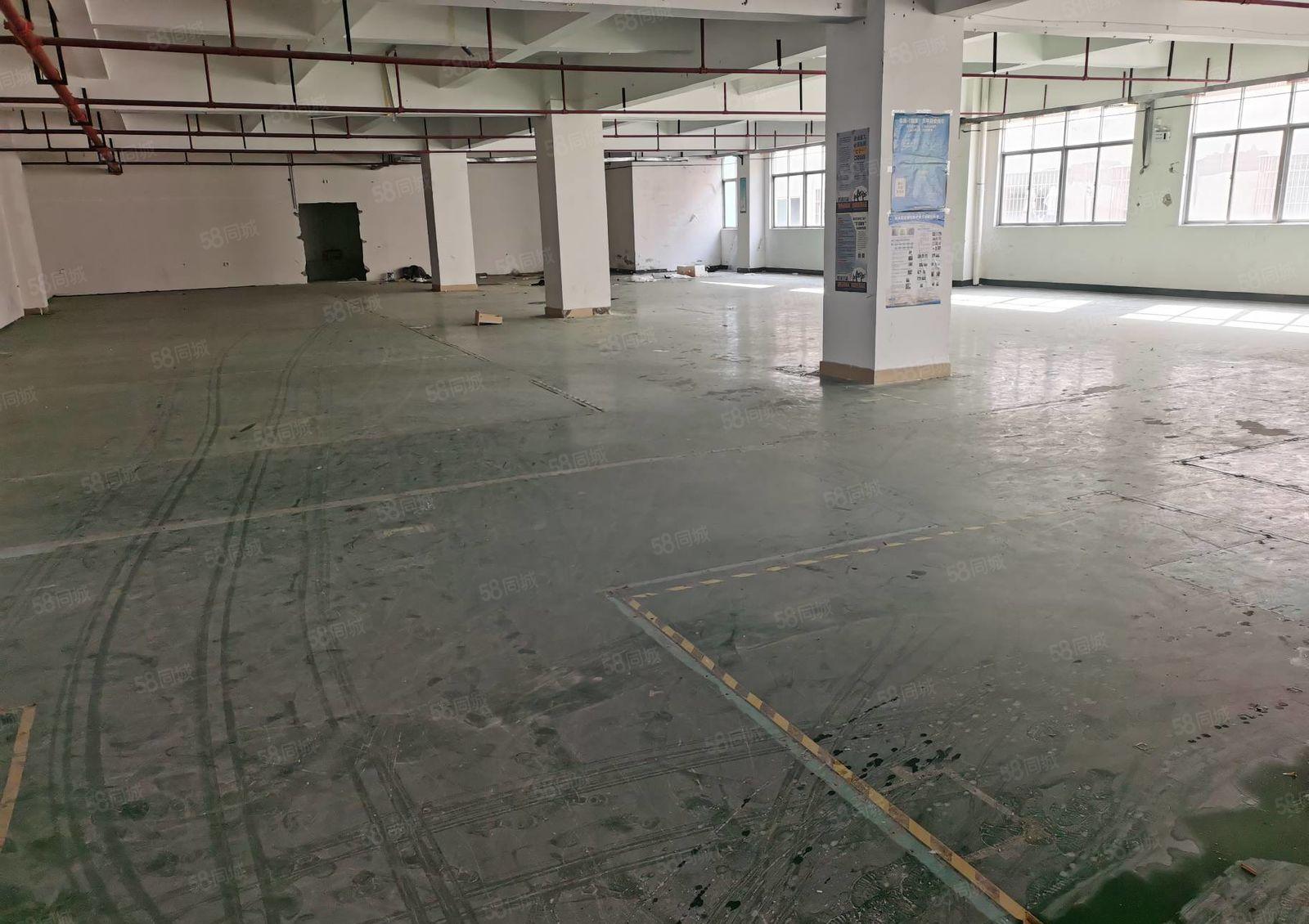 公明主干道村委1300平低价仓库厂房出租