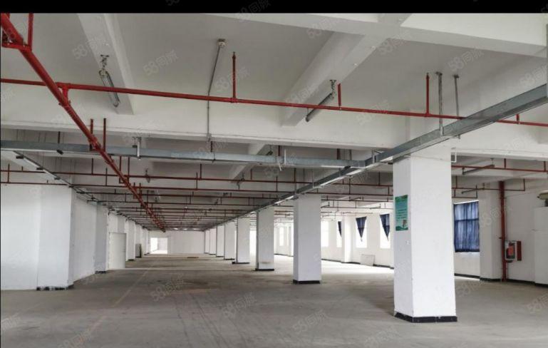 光明公明全新厂房，仓库出租500，1000，3000平好分租