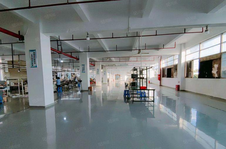 公明东坑厂房出租1000平层高4.5米带消防喷淋，3吨货梯