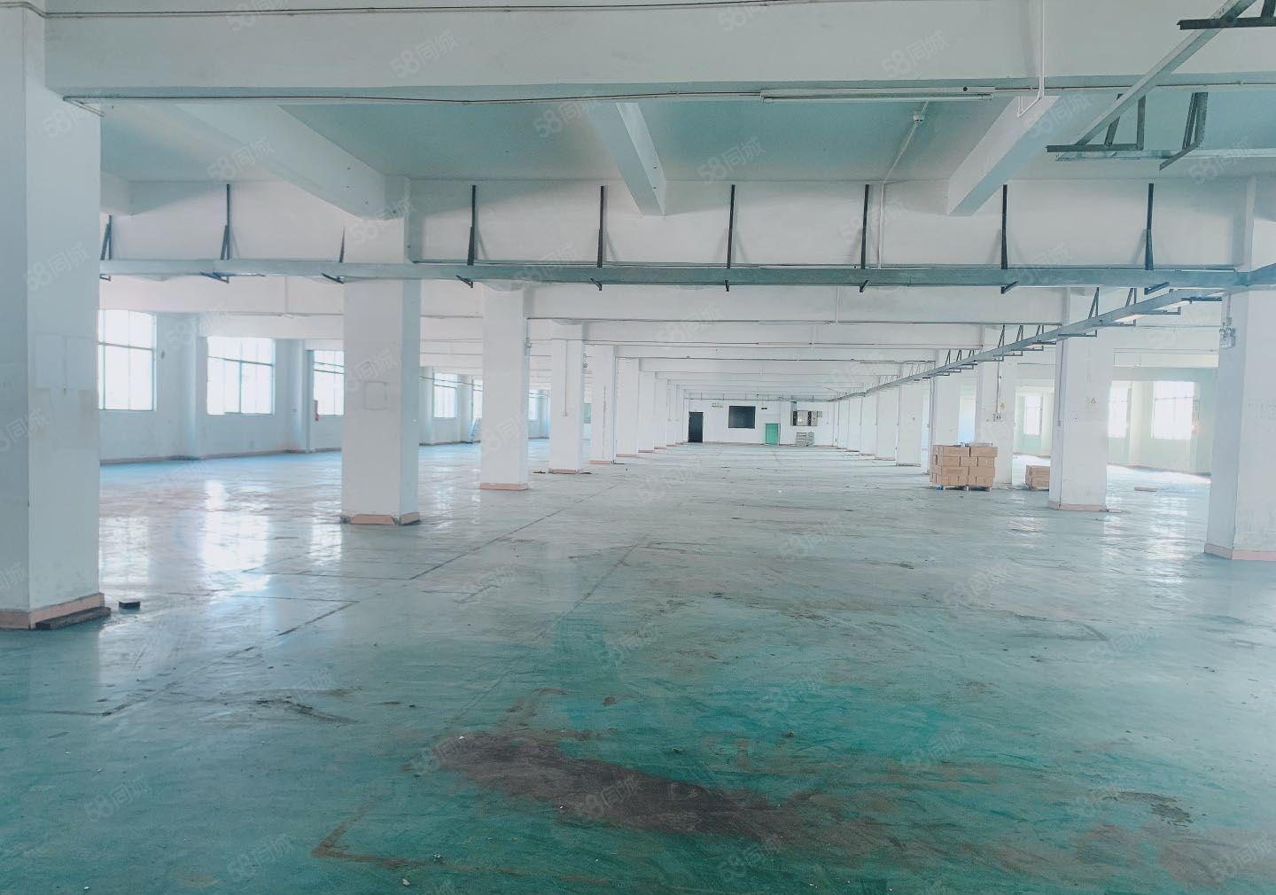 公明12000平米独院厂房出租可分层出租