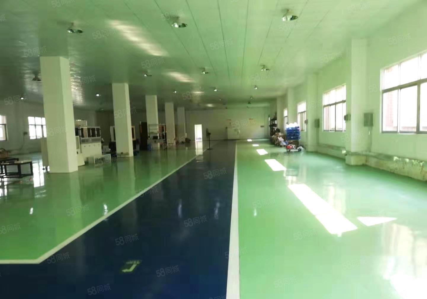 公明松柏路边上1950平大型园区人流量大好招工面积是在带装修