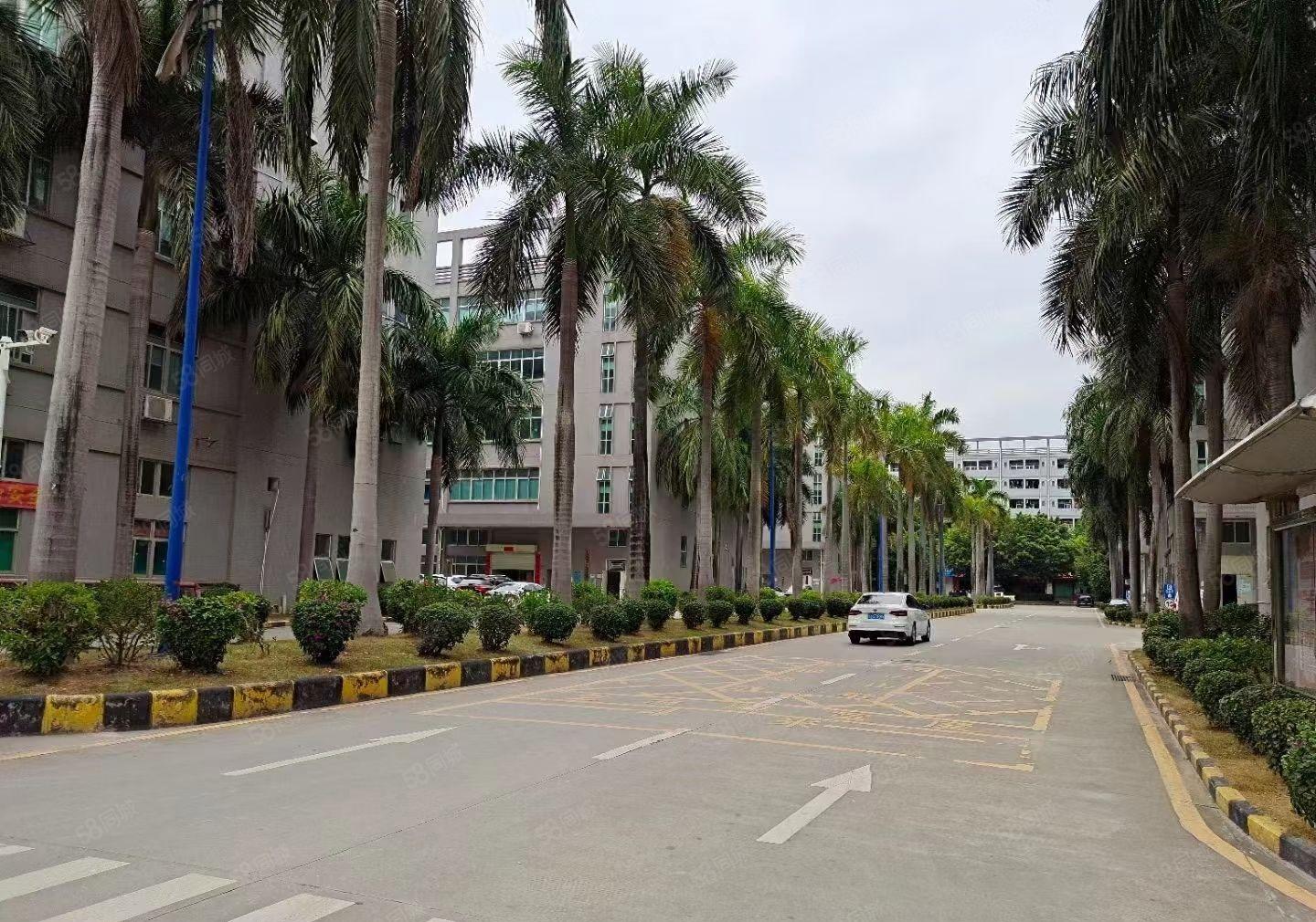 公明顺发工业园厂房出租6000平，600平起分（原房东直租）