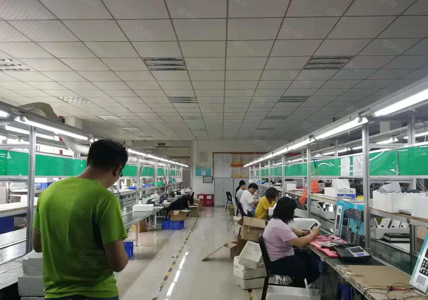 光明公明唯一低价厂房出租2050平只需19元一平，园区开象好