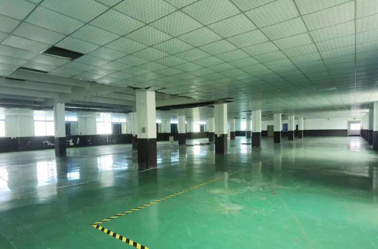 公明原房东独院厂房出租（1~3层4500平，财位坐北朝南）