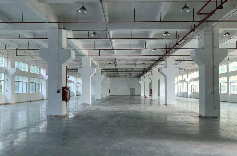 光明公明楼村原房东厂房（一楼2500平高6米，可分500起）