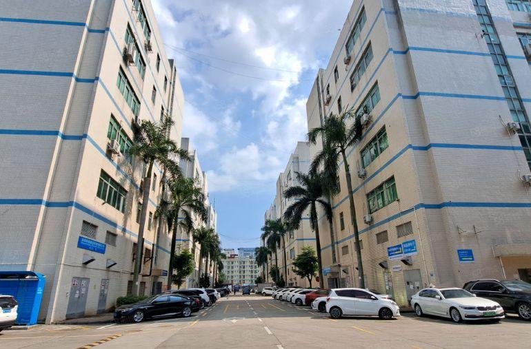 光明原房东500平方可分租200平起低价厂房仓库出租工业园