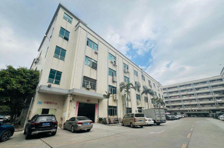 光明茨田埔带红本独院8500平米实际面积出租一楼6米高