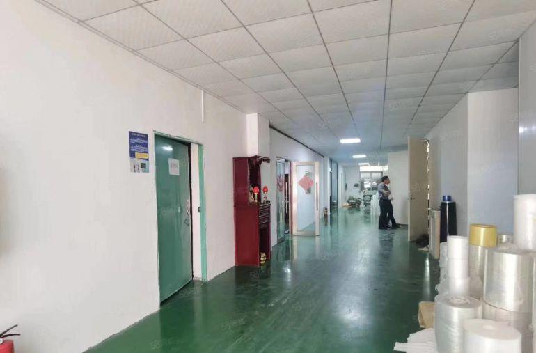 公明李松朗原房东厂房（一楼1580平楼上700平带无尘车间）