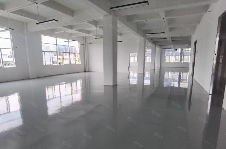 19元起租石岩塘头工业区500平至2000平厂房仓库低价出租