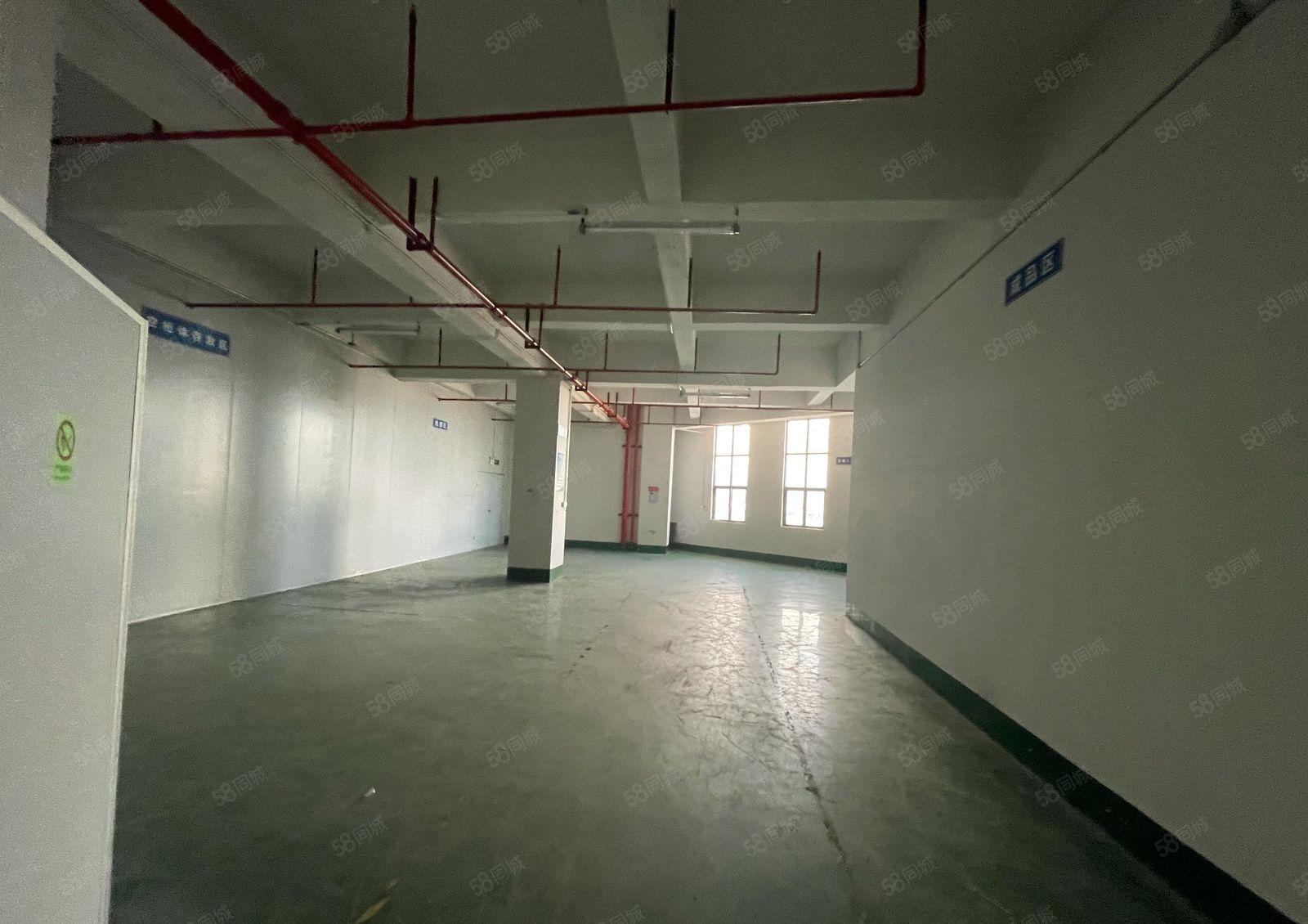 公明光明新出楼上800平方精装修重工厂房水电齐全已空出