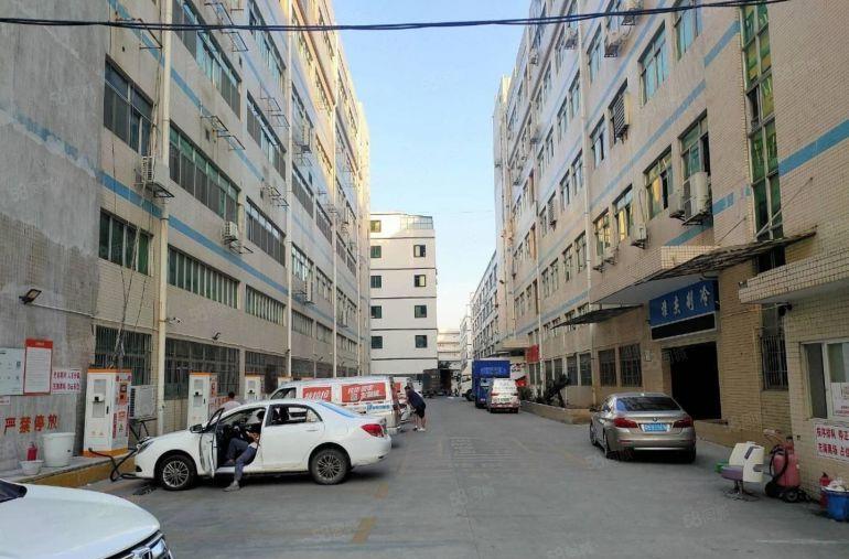 光明厂房出租带装修5000平厂房出租可分租工业园低价仓库出租