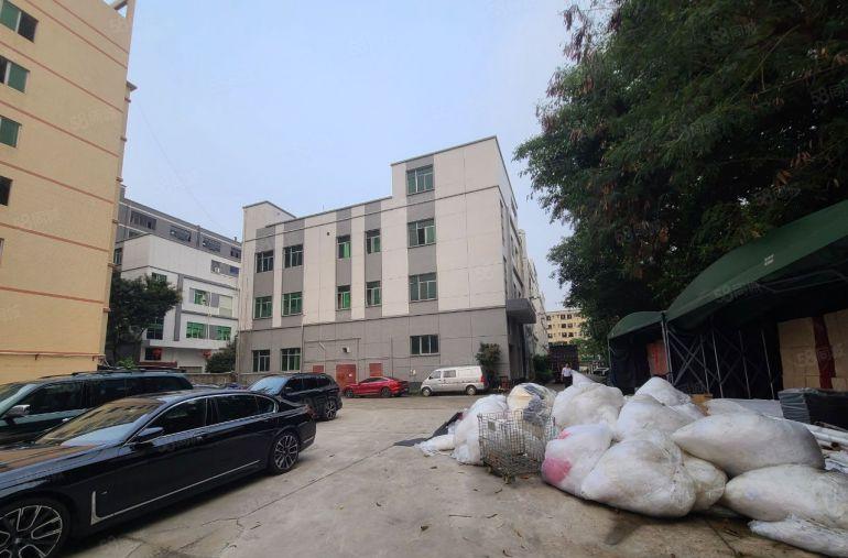 光明原房东厂房特价出租，1000平至6000平，环境优美