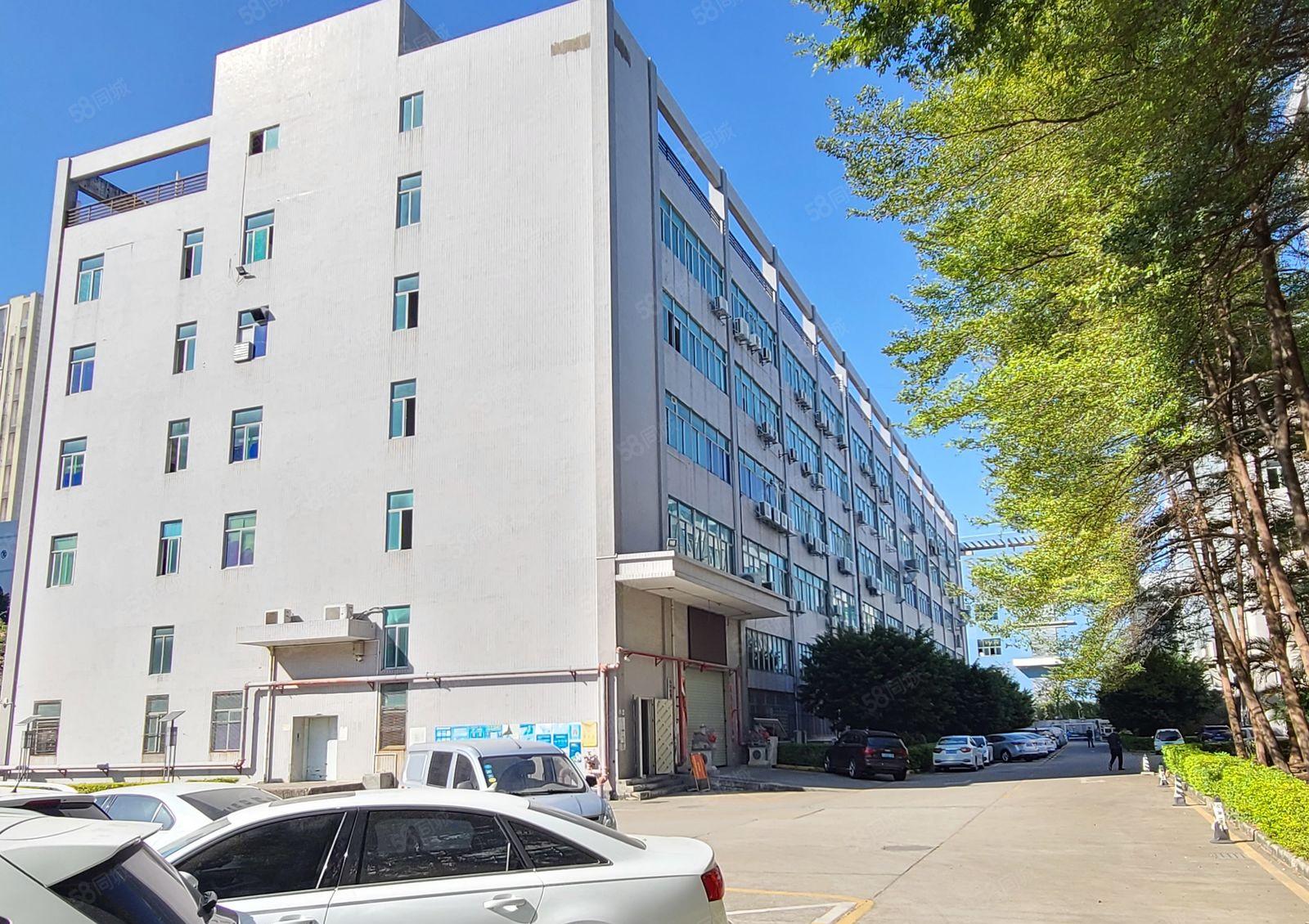 光明原房东一楼红本厂房大小可分