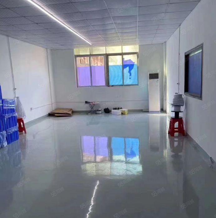 光明原房东10000平红本独院厂房仓库大小分租低至19元起