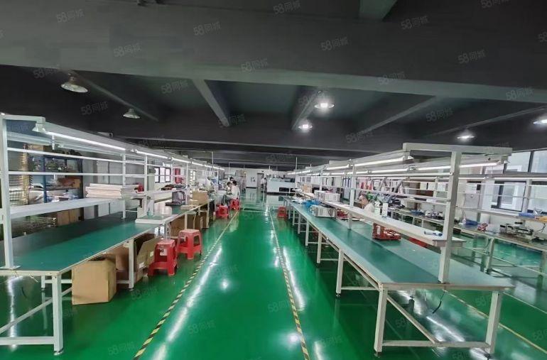 光明300至5000平方精装修厂房办公室仓库电商红本出租