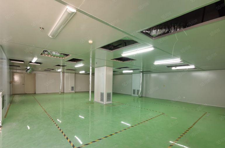 光明公明楼村500平原房东现成精装修无尘车间红本厂房出租转租