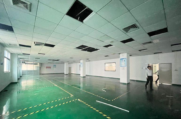 公明上村新出原房东5000平方厂房出租 园区形象好 大小可分