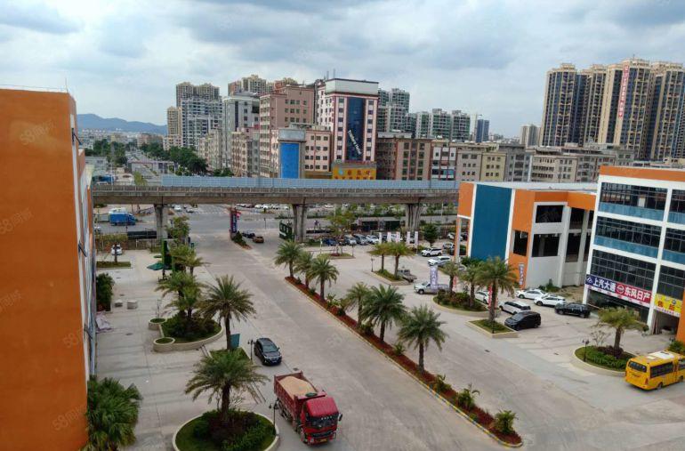 合同十年光明甲子塘新出独门独院8000平红本厂房出租！