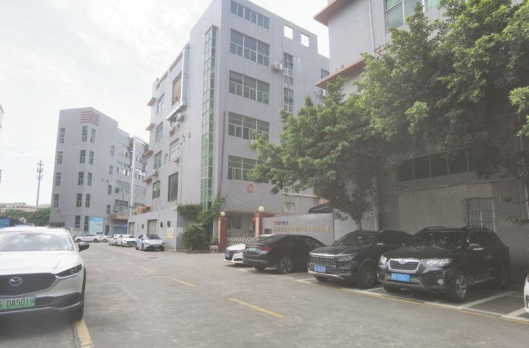 19元起租石岩塘头工业区500平至2000平厂房仓库低价出租