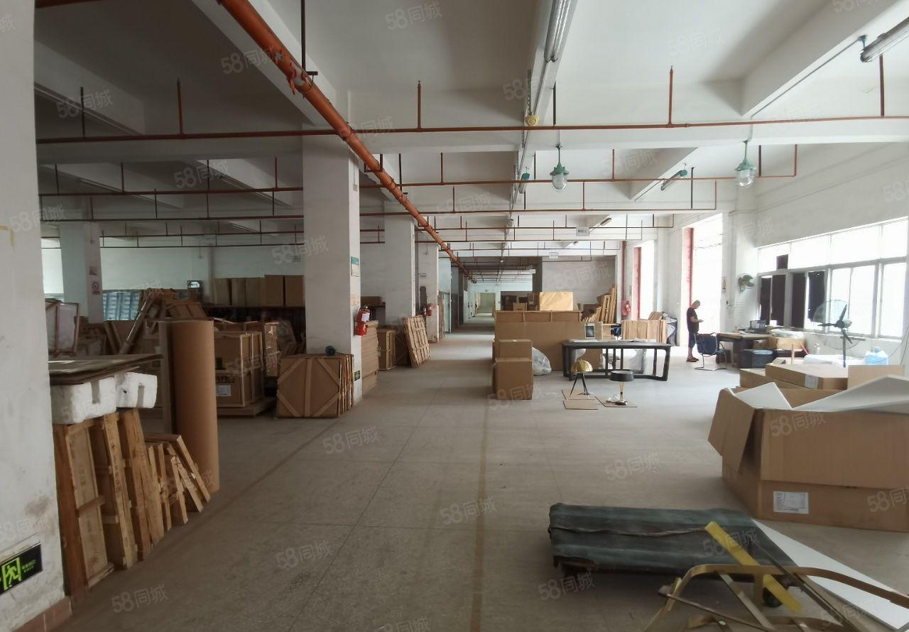 光明500起租原房东红本实际面积独院厂房出租