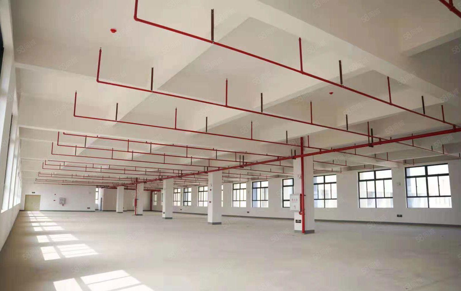 开发商直租厂房，仓库出租15000平600平起分，3吨货梯