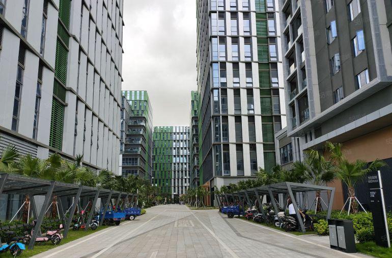 坪山生物医药产业园全新红本厂房500平起租