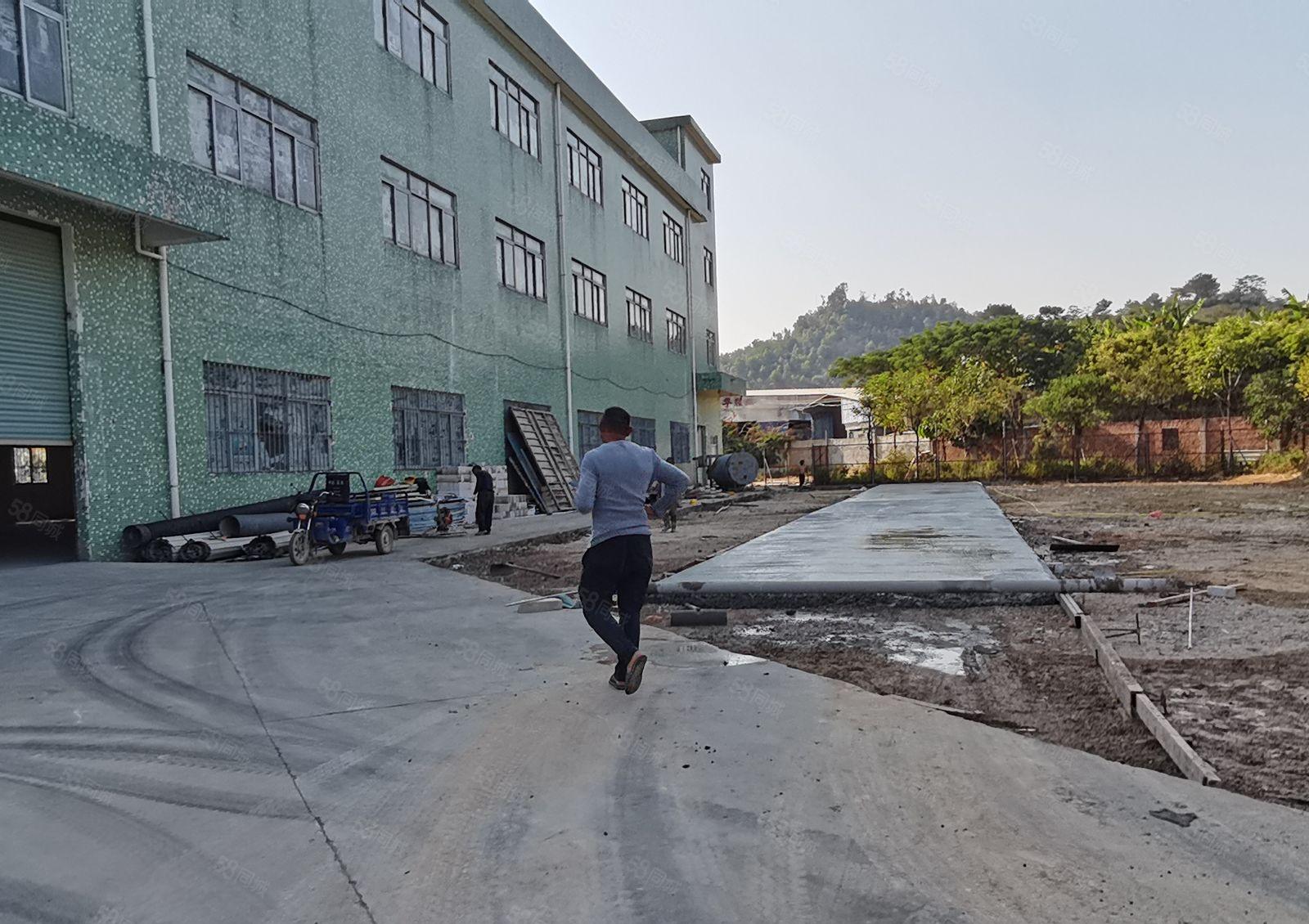 高5.5米一楼坪山石井上村工业区附近原房东独院800平空地大