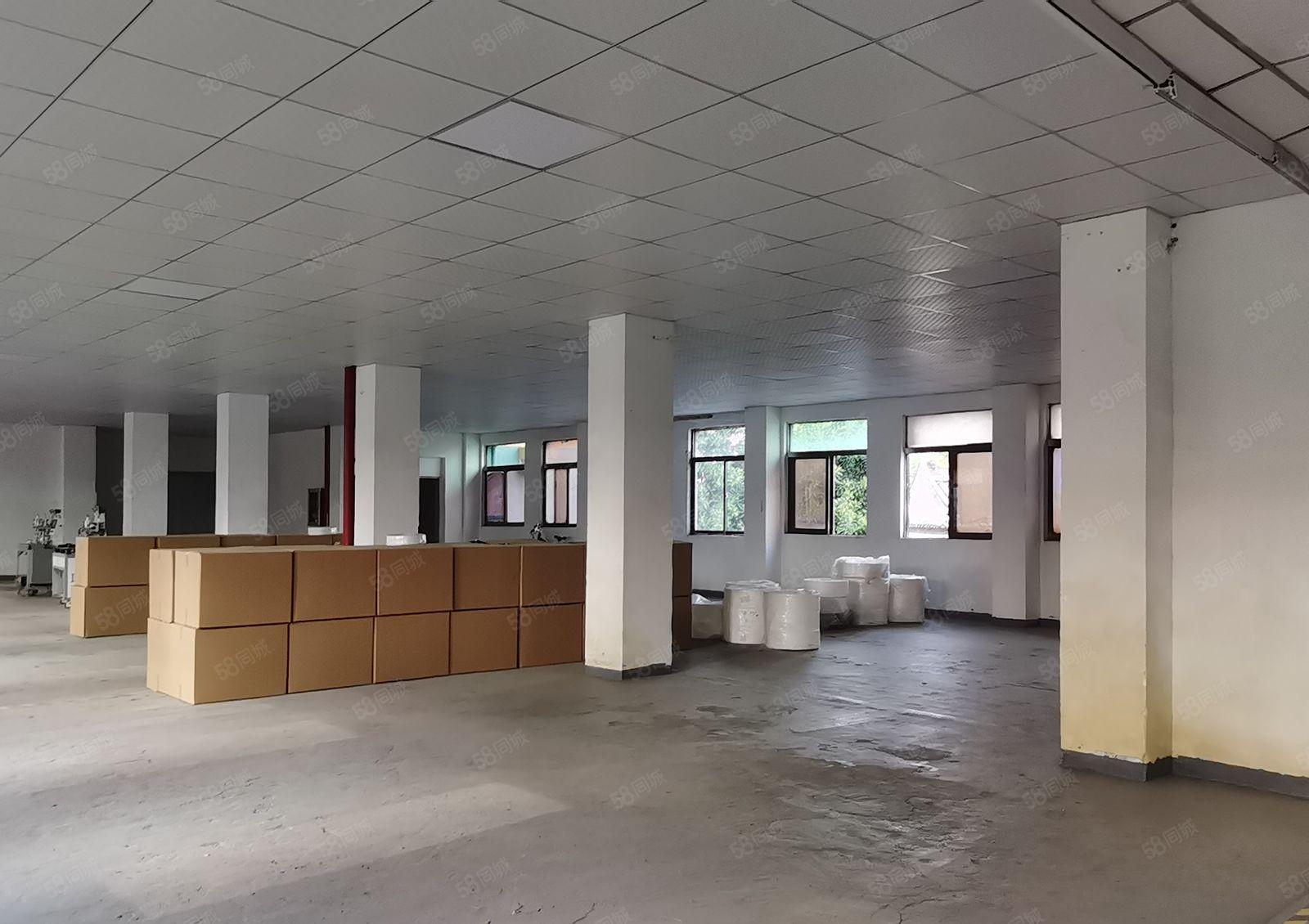 打包价7000元坪山坑梓比亚迪二期附近独院新空出4楼400平