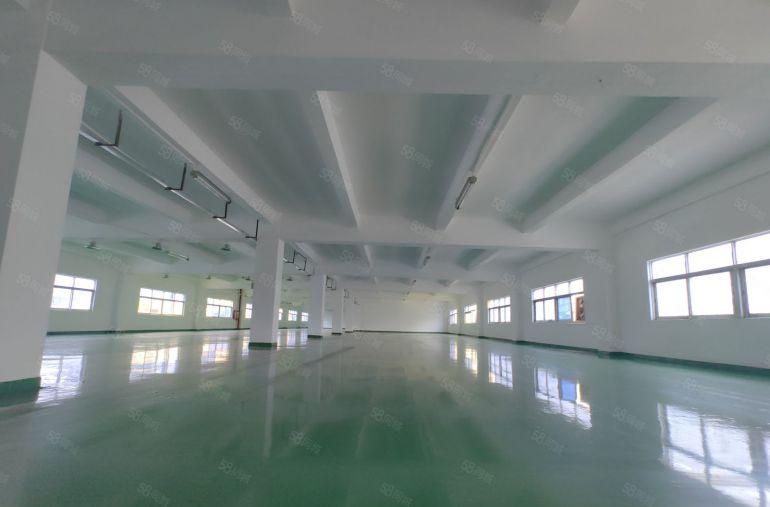 坪山六和地铁站3楼1000平方带精装修办公室厂房仓库低价出租