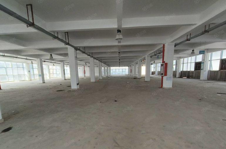 可签10年！原房东个人独院红本低价厂房出租一楼厂房仓库出租