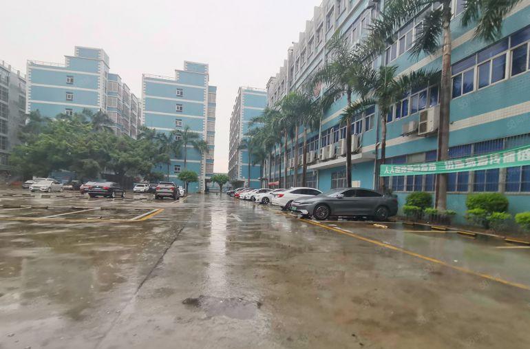 4000平方高度6.5米形象超好坪山龙田原房东一楼厂房出租