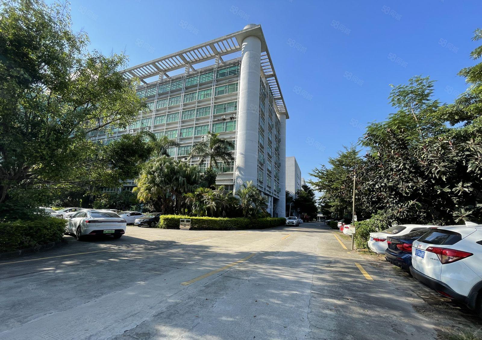 坪山坑梓科技园新出楼上1300平精装带地坪漆办公仓库厂房出租