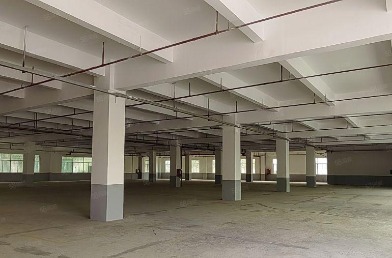 原房东直租坪山龙田莹展大型工业园3楼3400平高4.8米