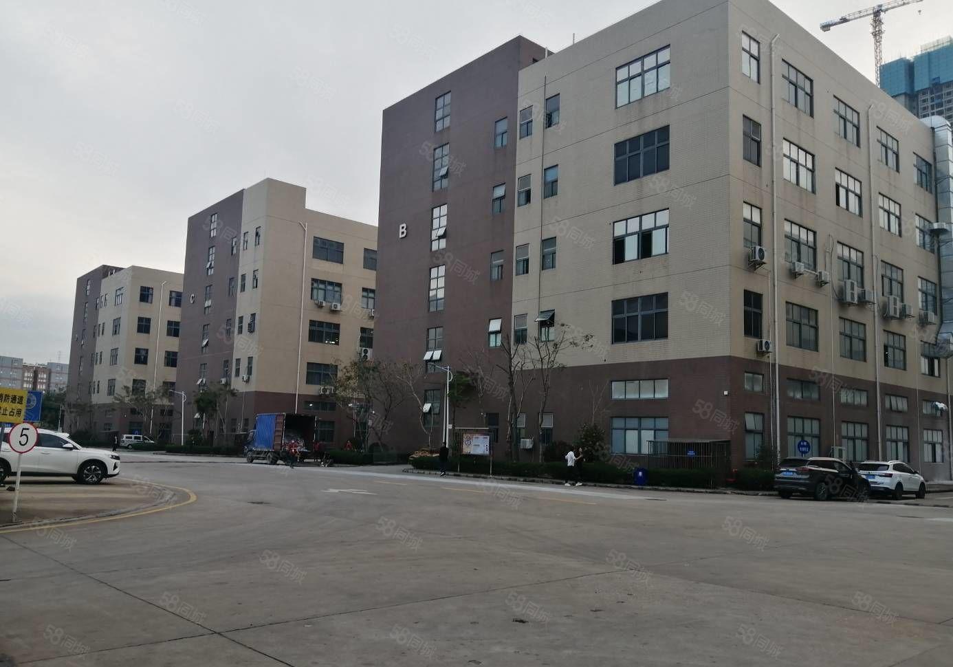 300平起租坪山大工业区原房东工业园区2万平现成装修独栋厂房