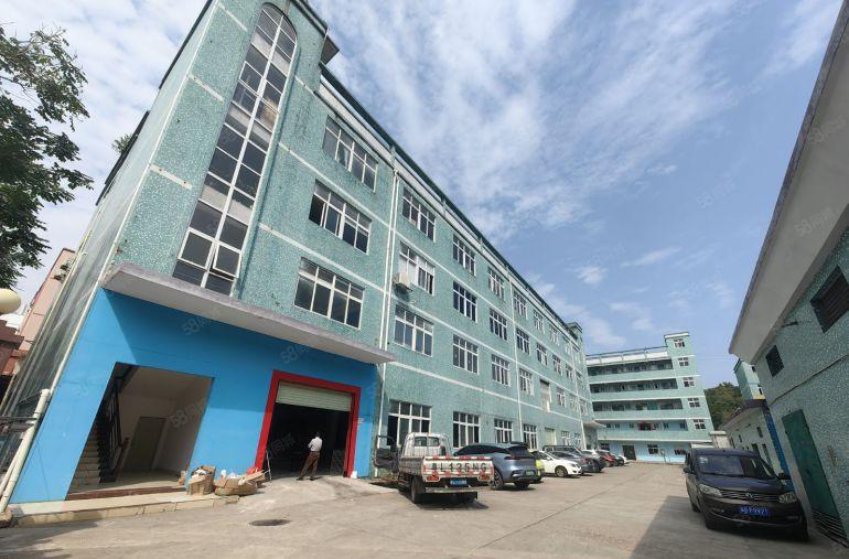 合同十年院子大坪山坑梓原房东独院5000平厂房仓库出租可分租